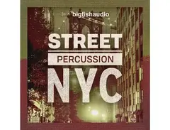 Big Fish Audio Street Percussion: NYC main image