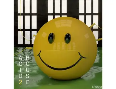ShamanStems Acid House 2
