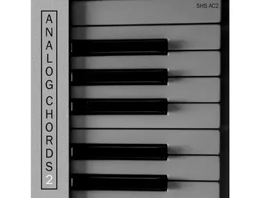 ShamanStems Origin Series - Analog Chords 2