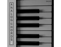 ShamanStems Origin Series - Analog Chords 2 main image