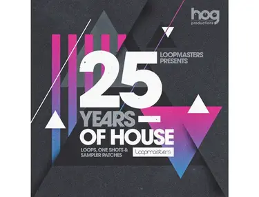 Loopmasters Gianni Bini Presents 25 Years Of House