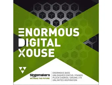 Singomakers Enormous Digital House