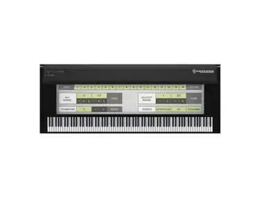 eaReckon MIDI Polysher