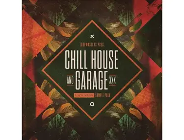 Loopmasters Chill House & Garage