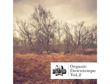 Rankin Audio Organic Downtempo Vol. 2
