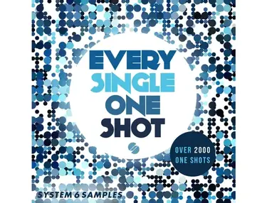 System 6 Samples Every Single One Shot