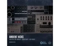 Black Octopus Ambient Kicks main image