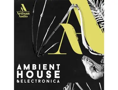 Artisan Audio Ambient House & Electronica