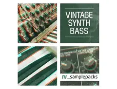 RV Samplepacks RV Vintage Synth Bass main image