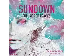 Famous Audio Sundown: Future Pop Tracks main image