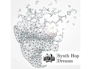 Rankin Audio Synth Hop Dreams