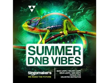 Singomakers Summer DnB Vibes