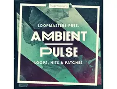 Loopmasters Ambient Pulse main image
