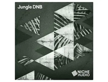 Jungle DNB