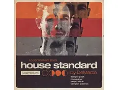 Loopmasters DeMarzo - House Standard main image
