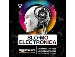 Singomakers Slo-Mo Electronica main image
