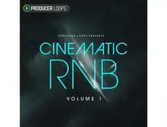 Producer Loops Cinematic RnB Vol 1 main image