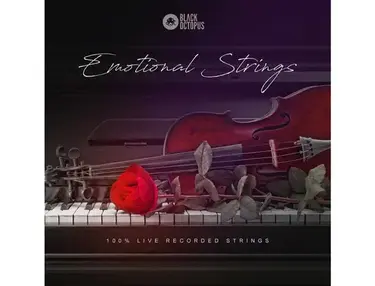 Black Octopus Emotional Strings