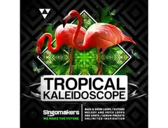 Singomakers Tropical Kaleidoscope main image
