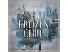 Famous Audio Frozen Chill main image