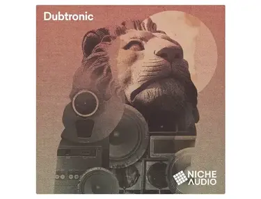 Dubtronic