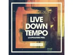 Loopmasters Live Downtempo main image