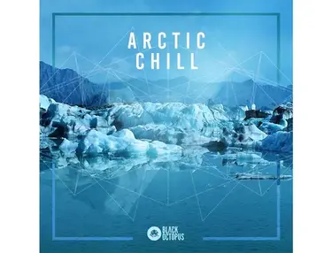 Black Octopus Arctic Chill