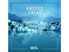 Black Octopus Arctic Chill main image
