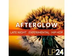 LP24 Audio LP24 - Afterglow main image