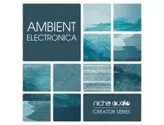 Niche Audio Creator Series: Ambient Electronica main image