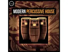 Industrial Strength Modern Percussive House main image