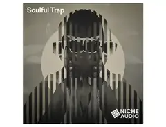 Niche Audio Creator Series: Soulful Trap main image