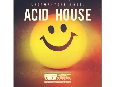 Loopmasters VIBES Vol 7 - Acid House