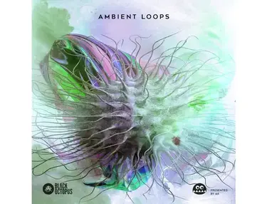 Black Octopus Ambient Loops By AK