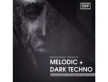 Bingoshakerz Melodic & Dark Techno