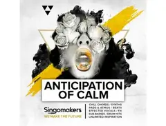 Singomakers Anticipation Of Calm main image