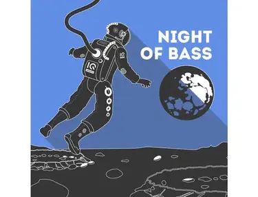 IQ Samples Night Of Bass