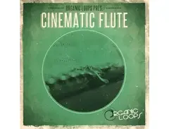 Organic Loops Cinematic Flute main image