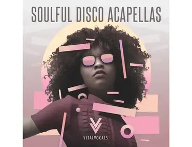 Vital Vocals Soulful Disco Acapellas Vol 1