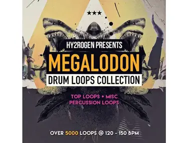 HY2ROGEN Megalodon Drum Loops Collection