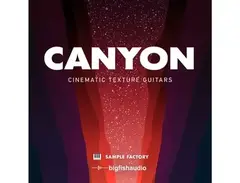 Big Fish Audio Canyon Cinematic Texture Guitars main image
