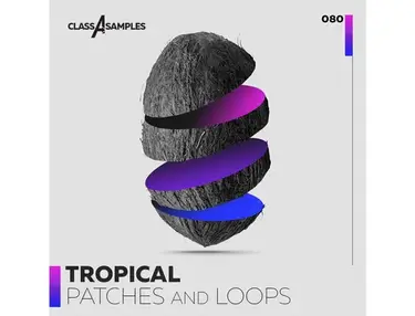 Class A Samples Tropical Patches & Loops