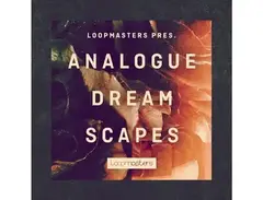 Loopmasters Analogue Dreamscapes main image
