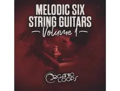 Organic Loops Melodic Six String Guitars main image