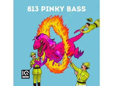 IQ Samples 813 Pinky Bass