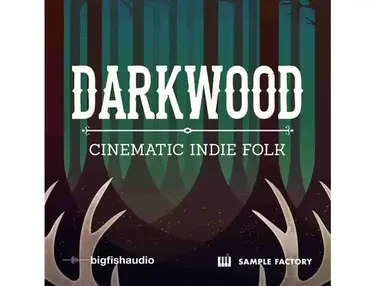 Big Fish Audio Darkwood - Cinematic Indie Folk