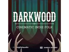 Big Fish Audio Darkwood - Cinematic Indie Folk main image