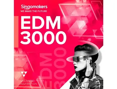 Singomakers EDM 3000