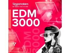 Singomakers EDM 3000 main image
