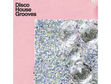 Samplestar Disco House Grooves